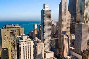 1000 N Lake Shore Plaza, Chicago, IL 60611 - Photo 3
