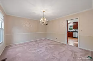 135 Rue Touraine, Deer Park, IL 60010 - Photo 9