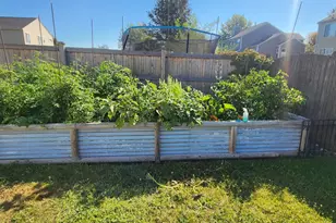 25749 S Yellow Pine Dr, Channahon, IL 60410 - Photo 29