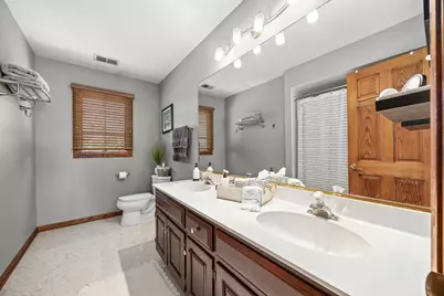 17224 Briar Drive, Tinley Park, IL 60487 - Photo 31