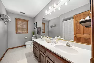 17224 Briar Dr, Tinley Park, IL 60487 - Photo 31