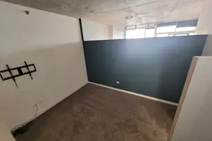 1720 S Michigan Ave, Chicago, IL 60616 - Photo 19