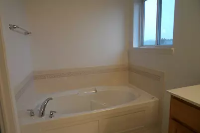 408 Winding Trail, Genoa, IL 60135 - Photo 23