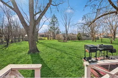 20832 Sparta Lane, Olympia Fields, IL 60461 - Photo 23