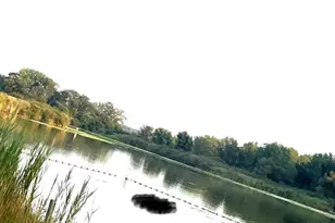 40 Bermuda Colony, Fox Lake, IL 60020 - Photo 19