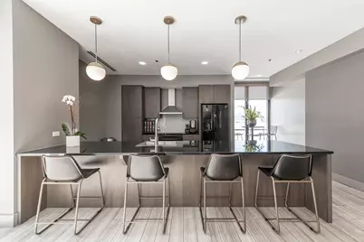 211 W Scott Street #317, Chicago, IL 60610 - Photo 17