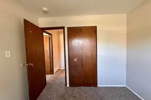 51 N Pine Ln, Glenwood, IL 60425 - Photo 15