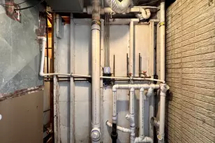 51 N Pine Ln, Glenwood, IL 60425 - Photo 25