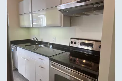 1360 N Sandburg Terrace #401C, Chicago, IL 60610 - Photo 13