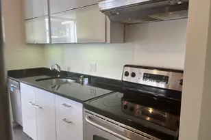 1360 N Sandburg Terrace, Chicago, IL 60610 - Photo 13