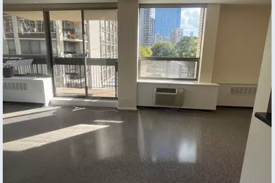 1360 N Sandburg Terrace #401C, Chicago, IL 60610 - Photo 5