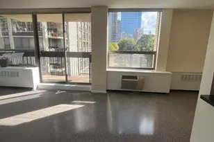 1360 N Sandburg Terrace, Chicago, IL 60610 - Photo 5