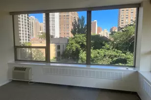 1360 N Sandburg Terrace, Chicago, IL 60610 - Photo 3