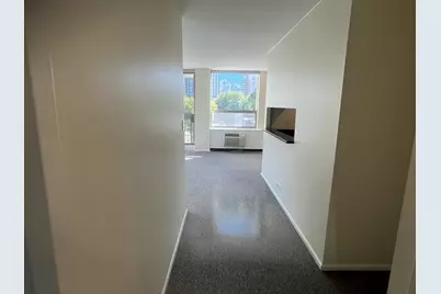 1360 N Sandburg Terrace #401C, Chicago, IL 60610 - Photo 23