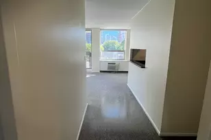 1360 N Sandburg Terrace, Chicago, IL 60610 - Photo 23