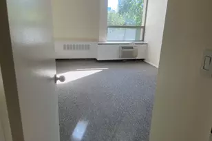 1360 N Sandburg Terrace, Chicago, IL 60610 - Photo 19