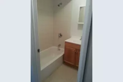 153 E 110th Street, Chicago, IL 60628 - Photo 9