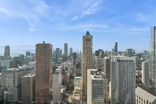 132 E Delaware Pl, Chicago, IL 60611 - Photo 37