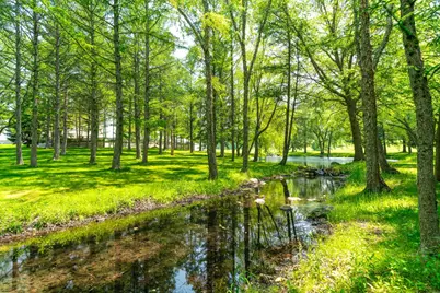 17519 Lincoln Road, Harvard, IL 60033 - Photo 47