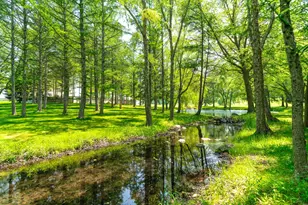 17519 Lincoln Rd, Harvard, IL 60033 - Photo 47