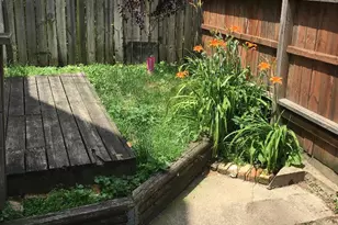 7228 N Rogers Ave, Chicago, IL 60645 - Photo 17