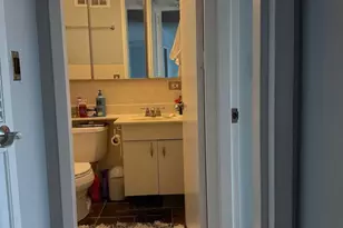 720 W Gordon Terrace, Chicago, IL 60613 - Photo 11