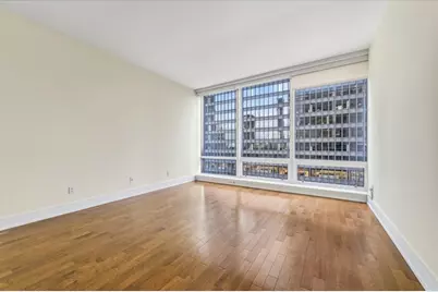 401 N Wabash Avenue #31G, Chicago, IL 60611 - Photo 11
