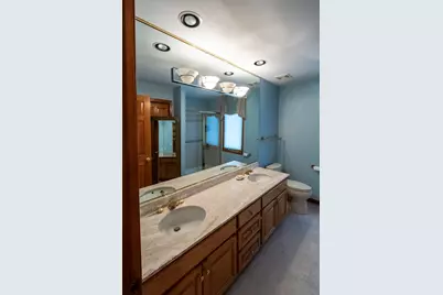 4214 Venard Road, Downers Grove, IL 60515 - Photo 35