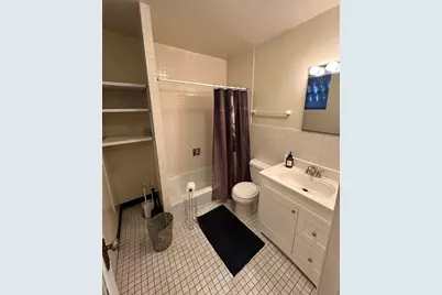 536 N Clark Street, Chicago, IL 60654 - Photo 5