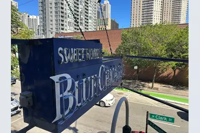 536 N Clark Street, Chicago, IL 60654 - Photo 9