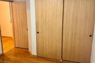 6216 Pond View Dr, Matteson, IL 60443 - Photo 19