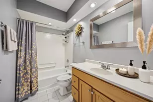 8909 Silverdale Dr, Orland Park, IL 60462 - Photo 13