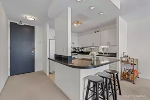 405 N Wabash Ave, Chicago, IL 60611 - Photo 9