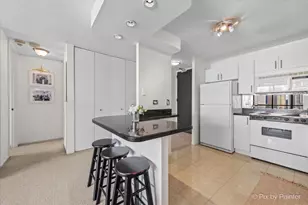 405 N Wabash Ave, Chicago, IL 60611 - Photo 13