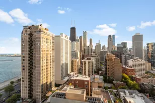 1313 N Ritchie Ct, Chicago, IL 60610 - Photo 25