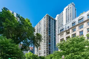 1313 N Ritchie Ct, Chicago, IL 60610 - Photo 1