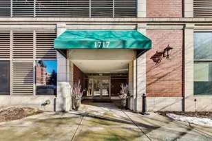 1717 S Prairie Ave, Chicago, IL 60616 - Photo 47