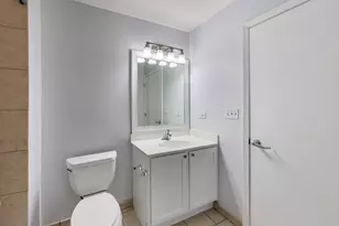 1717 S Prairie Ave, Chicago, IL 60616 - Photo 21