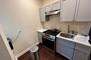 735 E 88th St, Chicago, IL 60619 - Photo 5