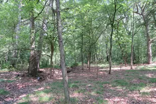 Six Mile Grove Sub 04-31-14E, Momence, IL 60954 - Photo 1