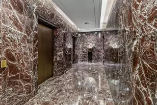 950 N Michigan Ave, Chicago, IL 60611 - Photo 13