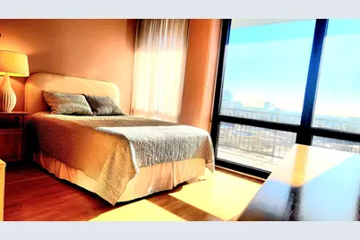 1530 S State Street #17R, Chicago, IL 60605 - Photo 23