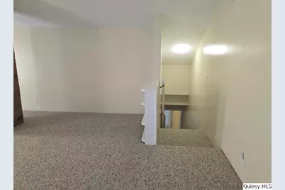 405 E Main, Laharp(*), IL 61450 - Photo 19