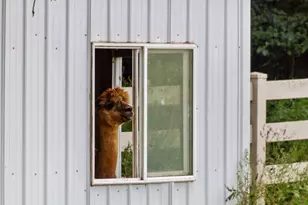 7830 N Pillow Hill Rd, Spring Grove, IL 60081 - Photo 61