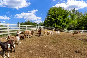 7830 N Pillow Hill Rd, Spring Grove, IL 60081 - Photo 67