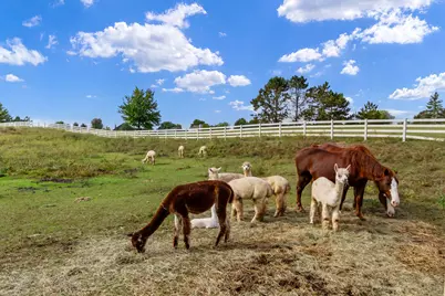 7830 N Pillow Hill Road, Spring Grove, IL 60081 - Photo 63