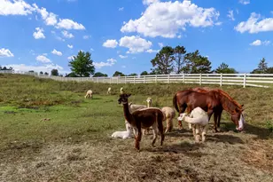 7830 N Pillow Hill Rd, Spring Grove, IL 60081 - Photo 59