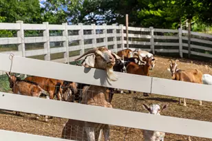 7830 N Pillow Hill Rd, Spring Grove, IL 60081 - Photo 65