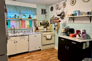 117 W South St, Cerro Gordo, IL 61818 - Photo 11