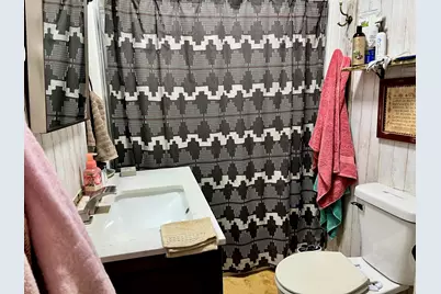 117 W South Street, Cerro Gordo, IL 61818 - Photo 21